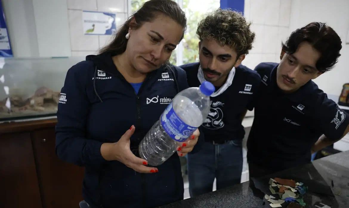 Pesquisa revela microplásticos em mais de 93% dos peixes no Paraná