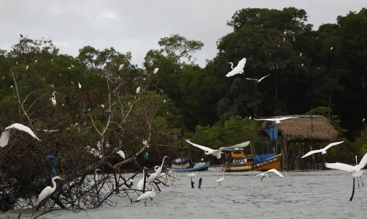 Programa Amazônia Soberana vai reforçar segurança e combater crimes na fronteira