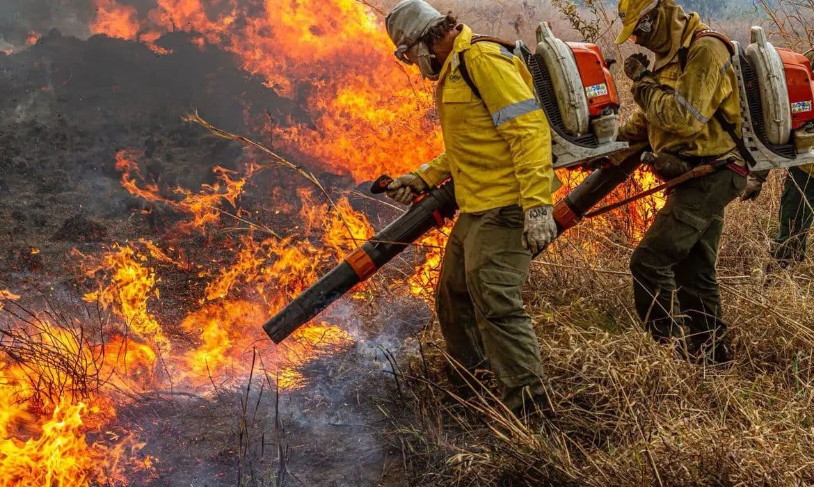 Governo destina R$ 337 milhões para combater desmatamento e incêndios