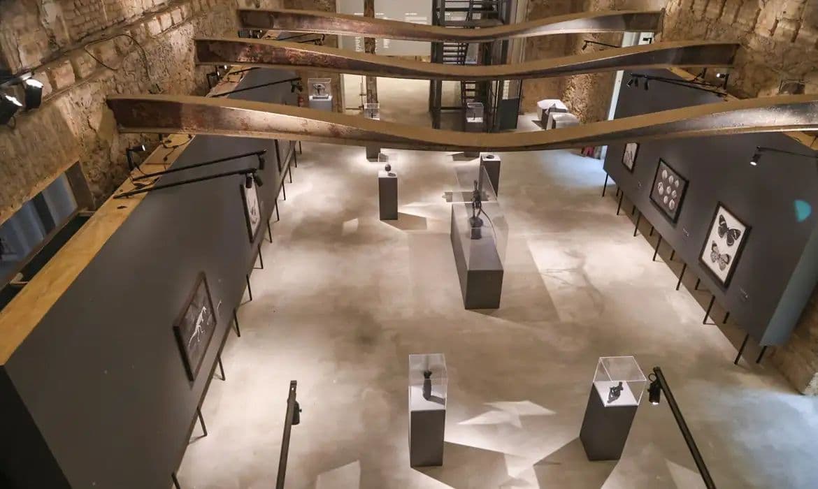 Museu Nacional celebra 208 anos com exposições inéditas de reconstrução