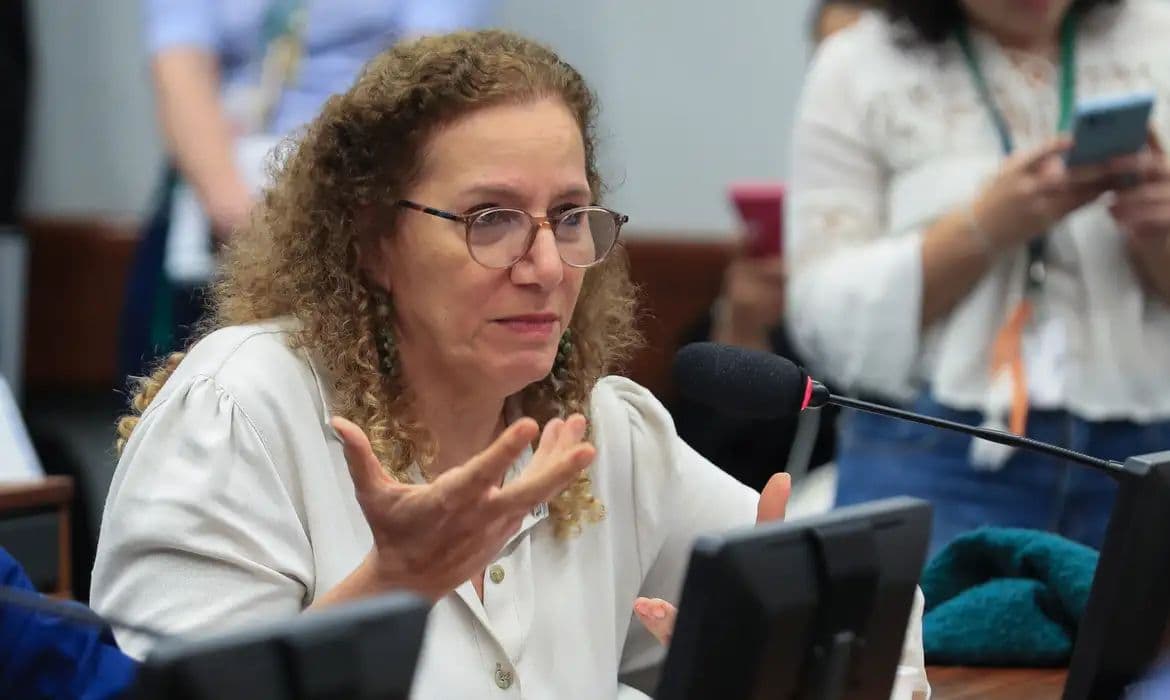 Parlamentares governistas viajam aos EUA para contrapor narrativas da oposição