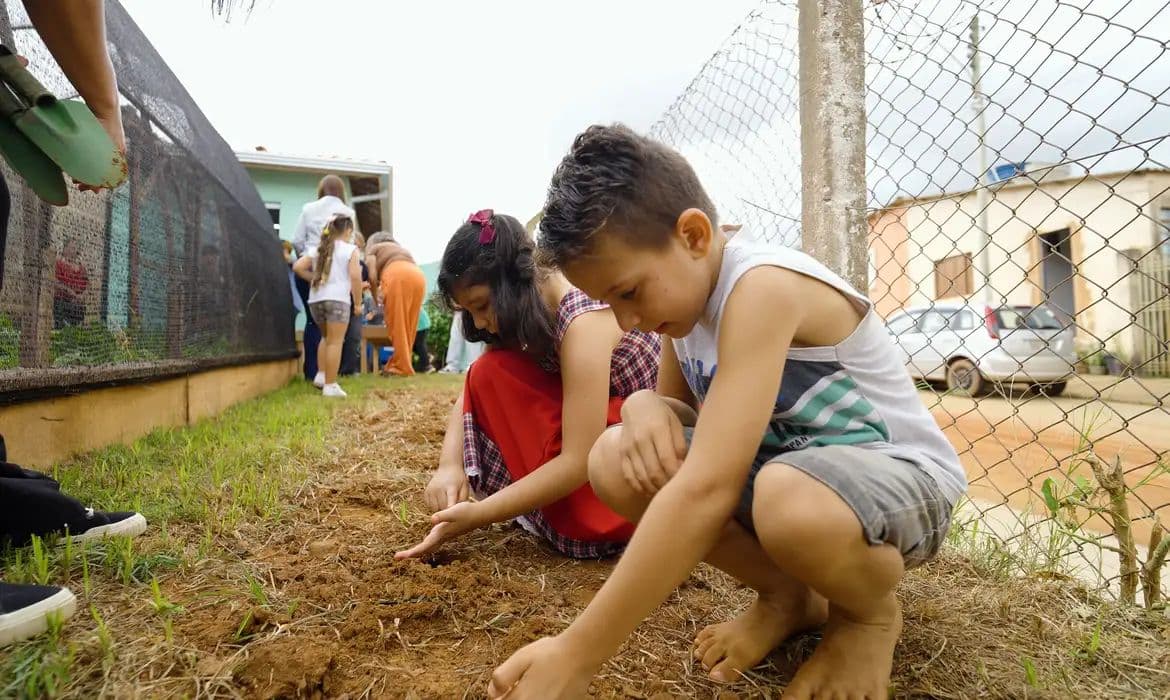Projeto escolar rural transforma quintais em espaços de aprendizado