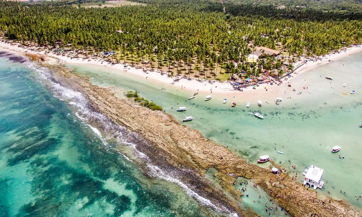 Estudo revela que ruído humano prejudica comunicação sonora de peixes