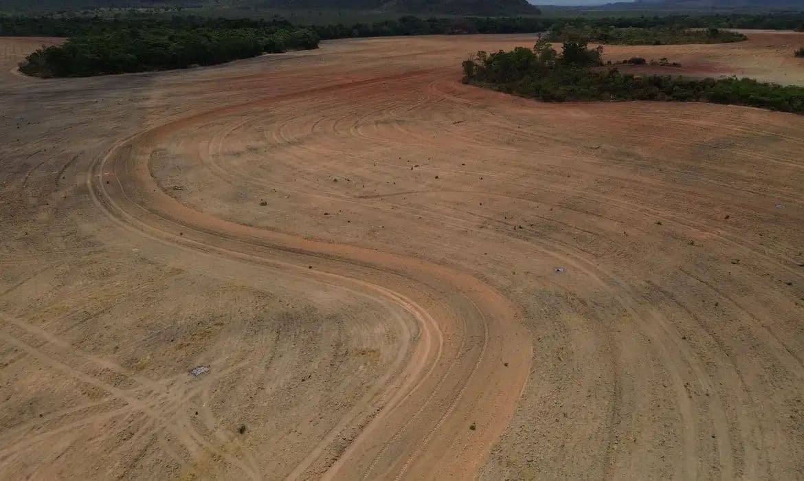 Fim da Moratória da Soja ameaça desmatar 1,4 milhão de hectares na Amazônia