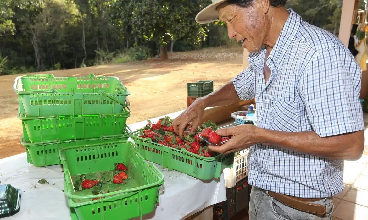 Finep investe R$ 220 milhões em tecnologia para agricultura familiar