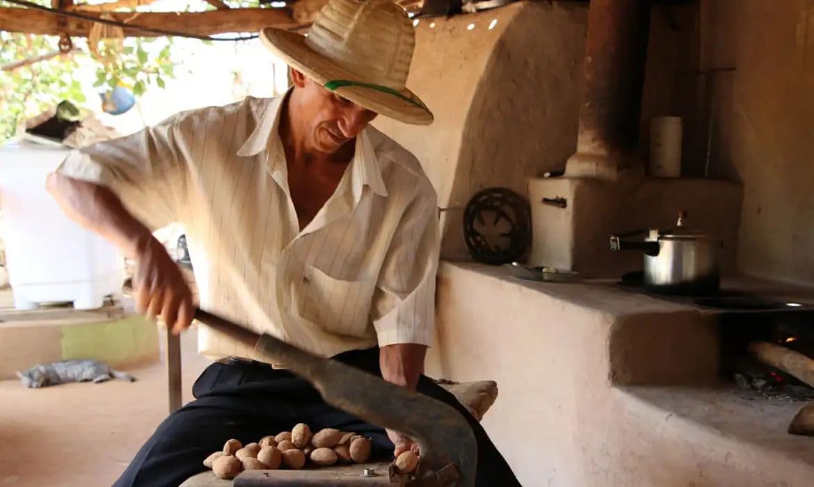 Sociobioeconomia ganha força e movimenta R$ 2,7 trilhões no Brasil