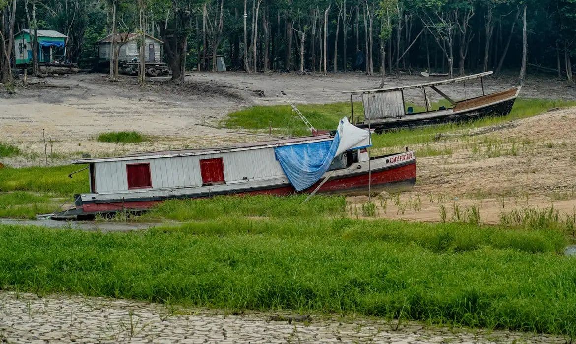 COP17 na Mongólia foca em combate à seca e restauração de terras