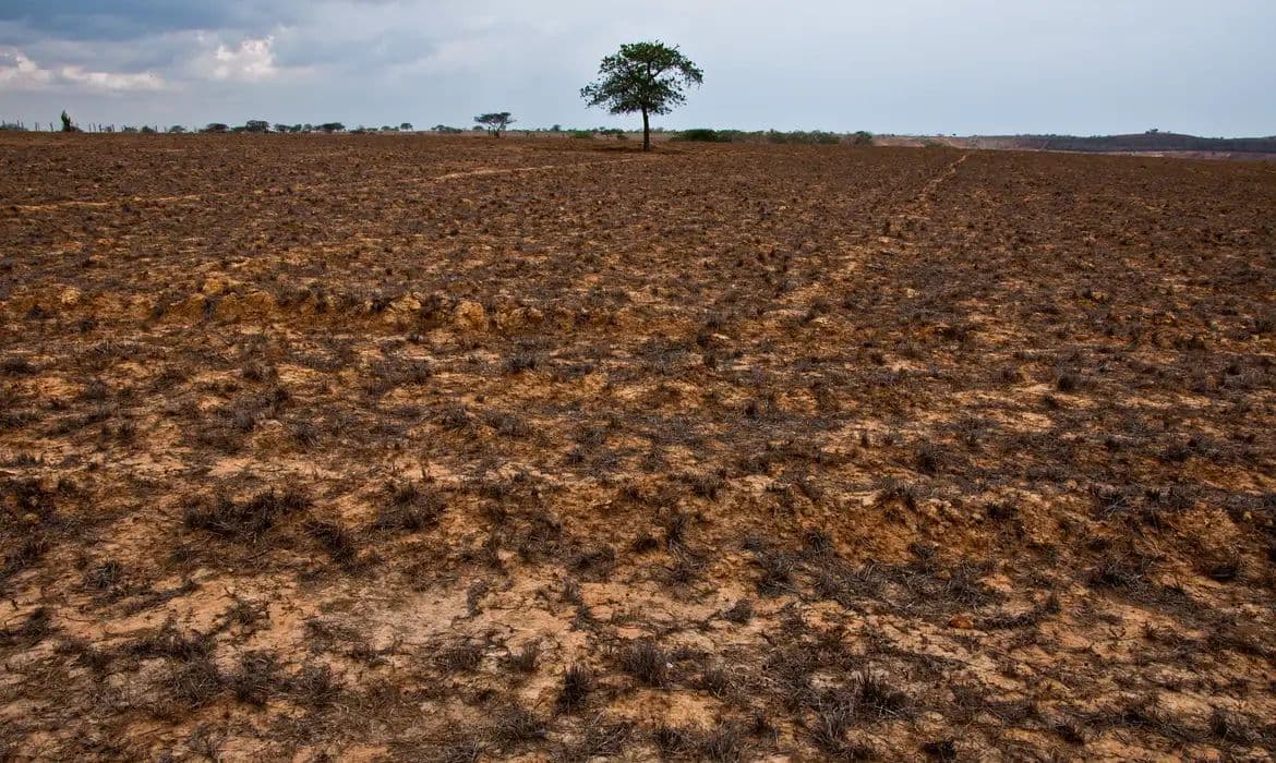 COP17: Negociações em Ulaanbaatar focam em financiamento para restauração de solos