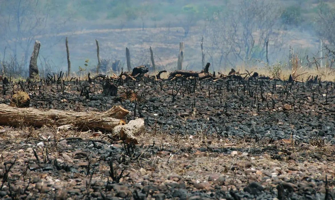 COP17: Sociedade Civil contesta exclusão de temas sociais na agenda oficial