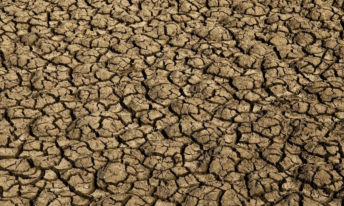 Desertificação avança no Brasil e ameaça segurança hídrica