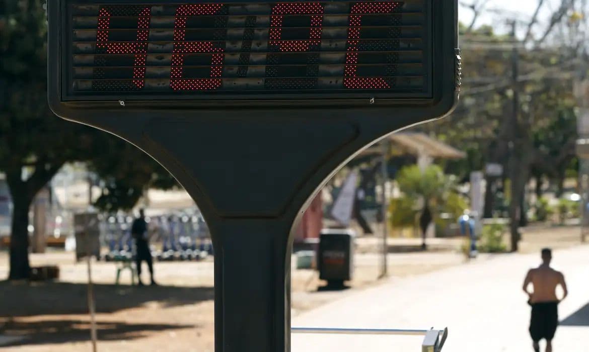 Ondas de calor são desastre negligenciado no Brasil