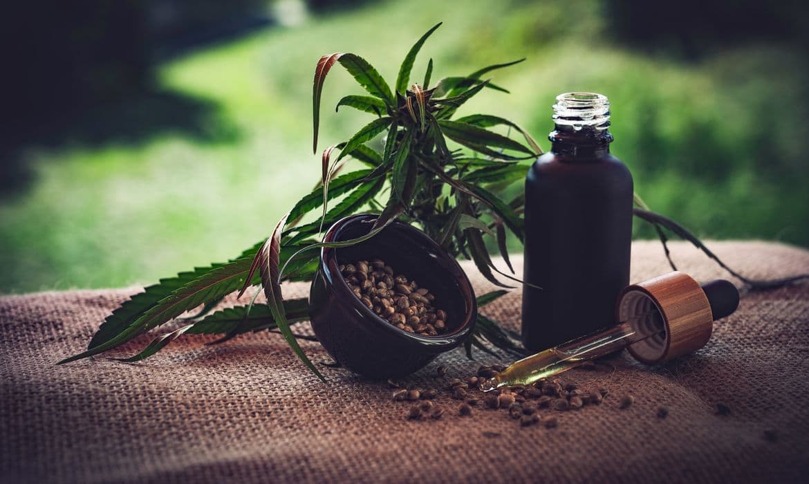 Associações apontam lacunas na regulamentação da cannabis medicinal