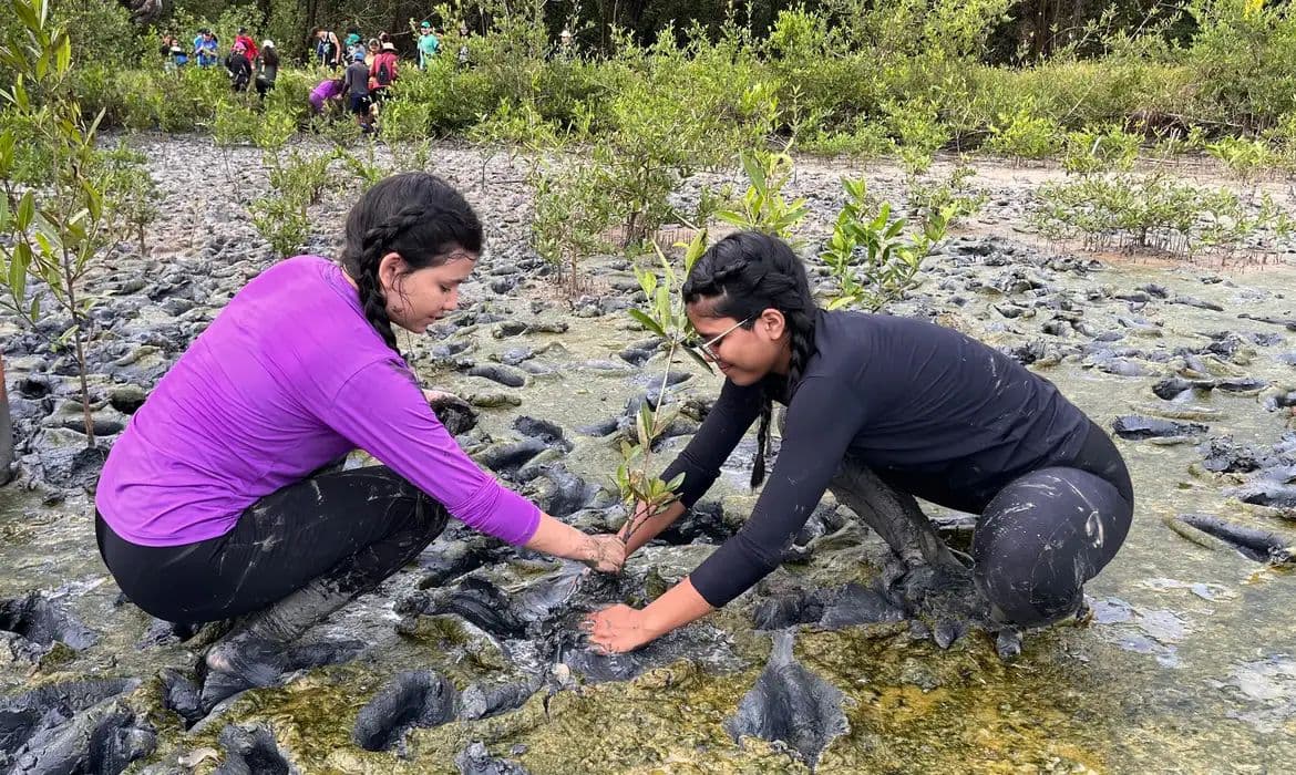 Inscrições para Fórum Brasileiro de Educação Ambiental encerram dia 30