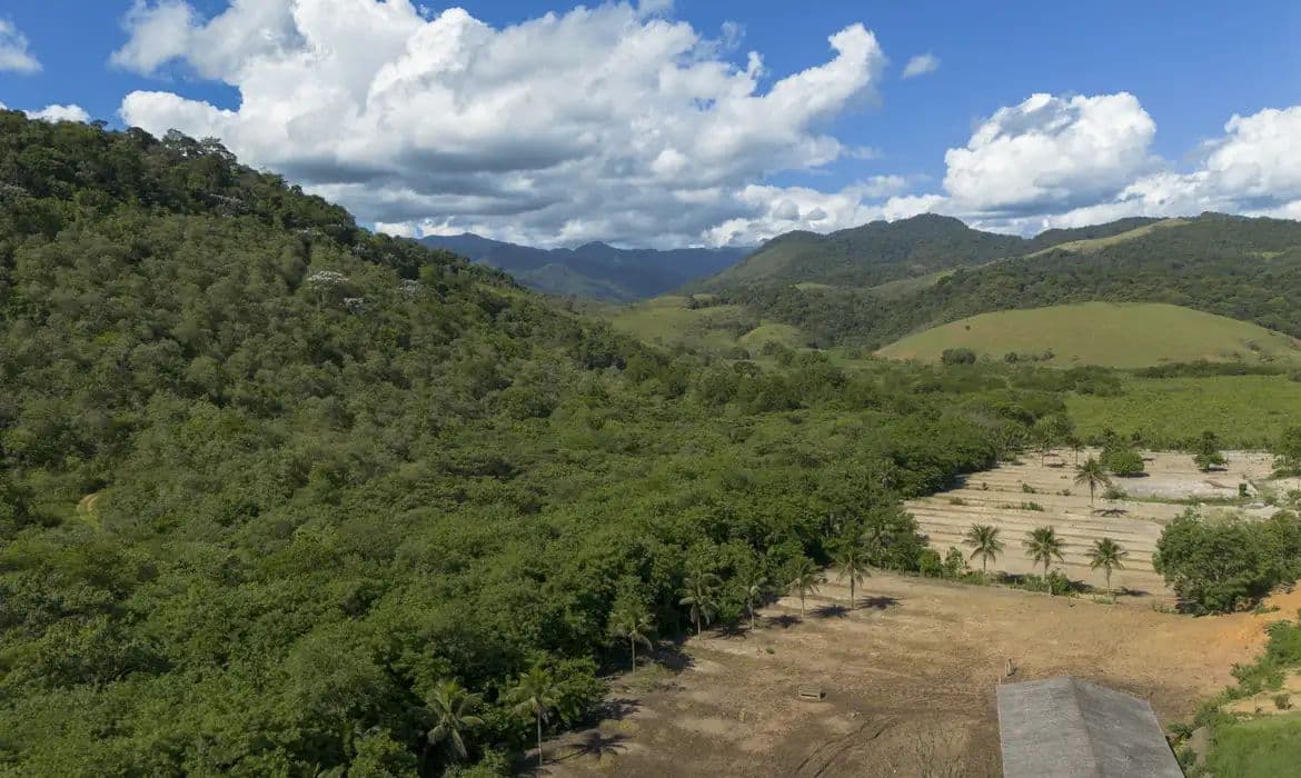 Mata Atlântica: Agricultura avança 11 milhões de hectares em 41 anos