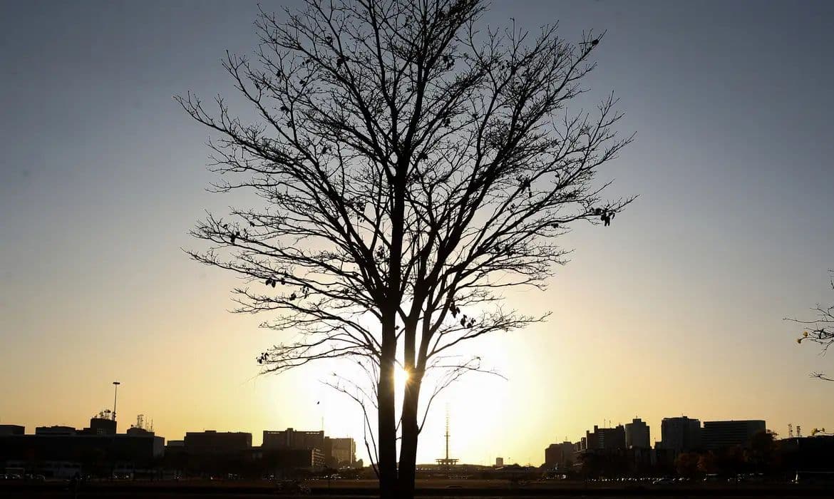 ONU alerta: aquecimento global superará 1,5°C, mas ainda pode ser contido