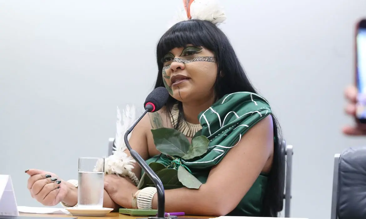Deputada denuncia envenenamento de água em território indígena