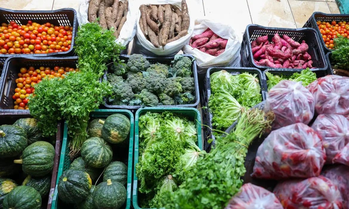 Segurança alimentar: o papel da agricultura familiar e cozinhas solidárias