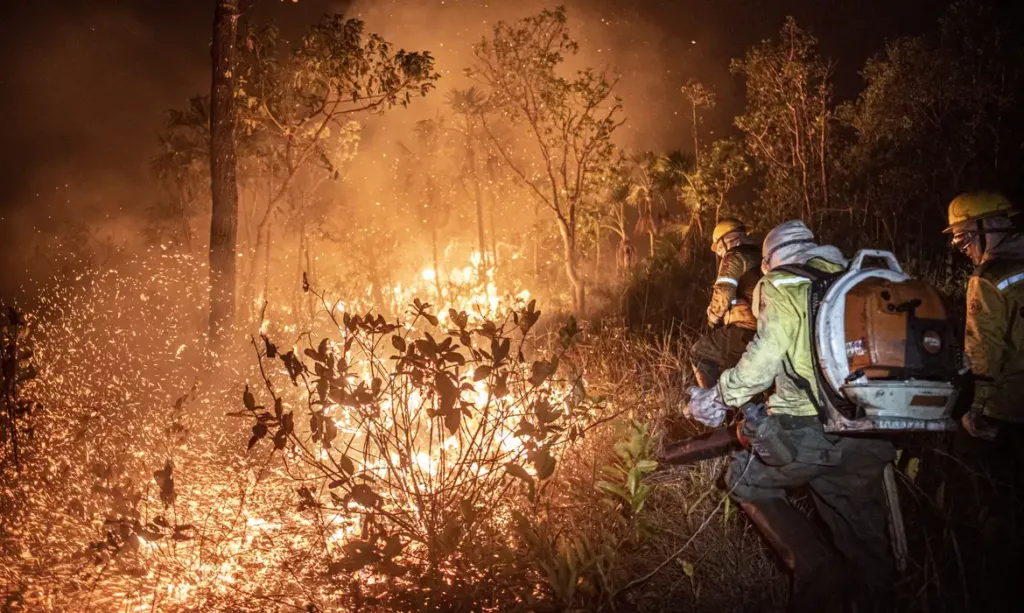 Bombeiros combatendo incêndio florestral