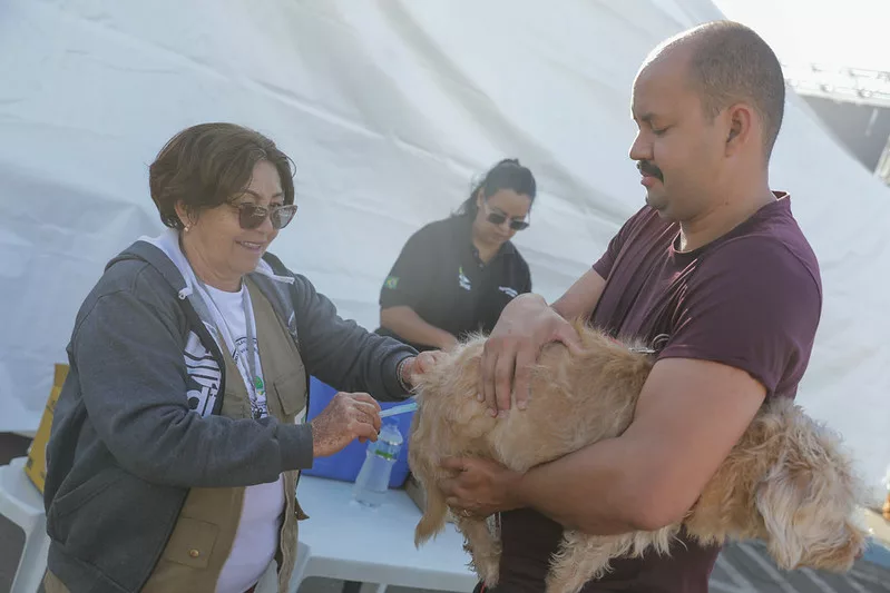 Vacinação de Cão na campanha de vacinação antirrábica