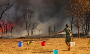 Incêndio no Parque Nacional de Brasília