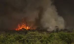 Incêndio Parque Nacional