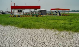 Seca na amazônia