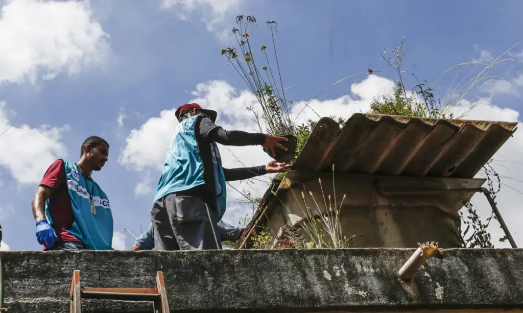 Dia de combate à Dengue