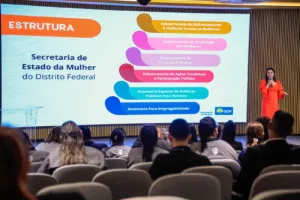 Mulheres em situação de violência doméstica