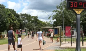 Atividades Físcias ao Ar livre no Parque da cidade em Basília