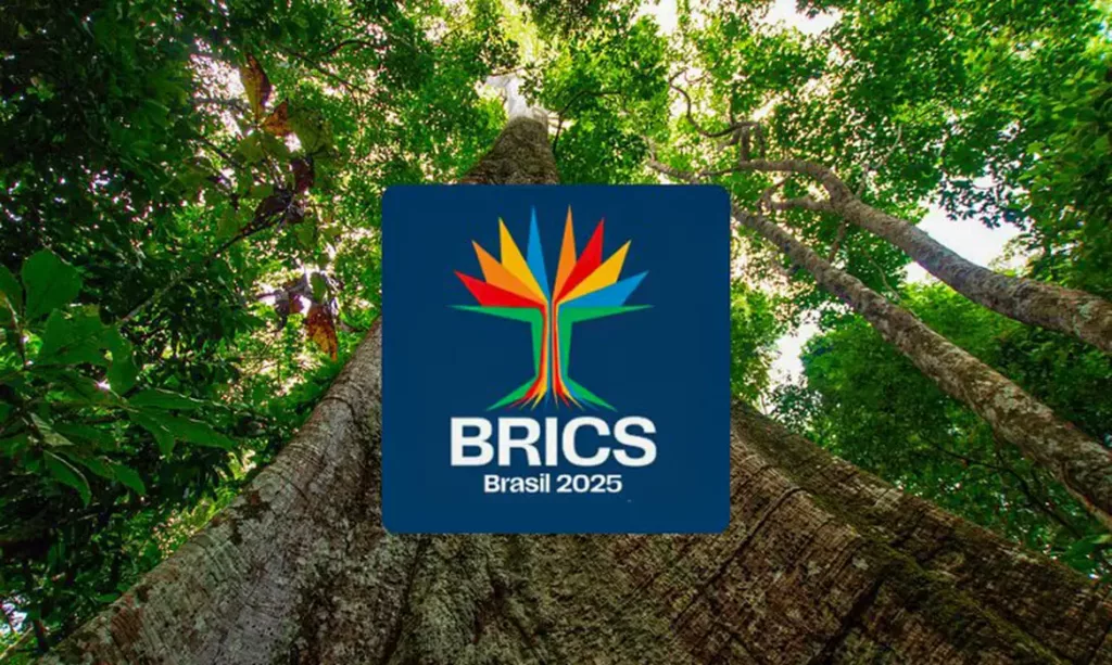 BRICS LOGO