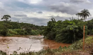 Brumadinho