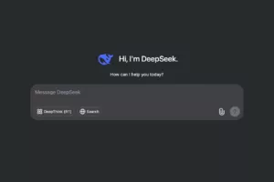 Captura da tela do DeepSeek