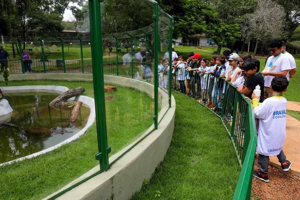 Crinaças no Zoológico de Brasília