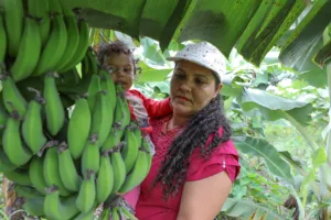 Produtor Rural do Df