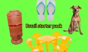 CCBB SP exposição gratuita memes