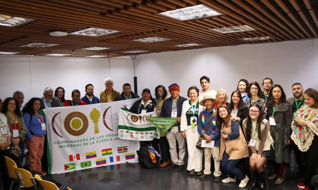 Organizações amazônicas governança OTCA
