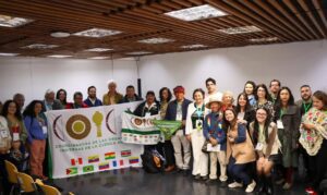 Organizações amazônicas governança OTCA