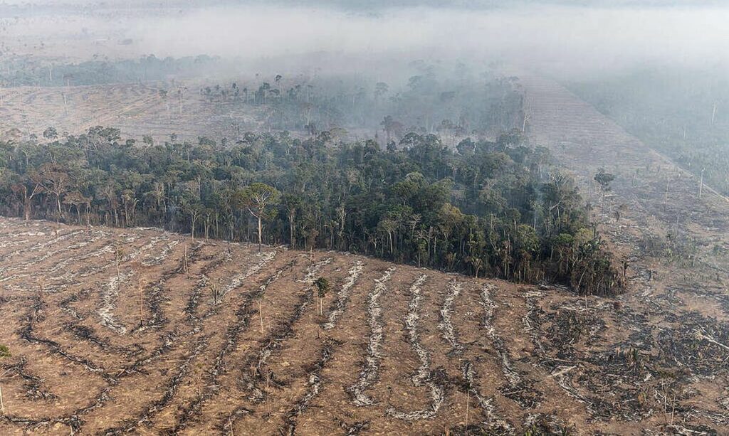Grilagem Amazônia condenação