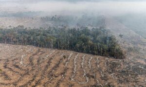 Grilagem Amazônia condenação