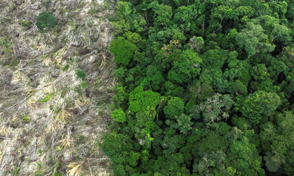 Desmatamento Amazônia 40 anos
