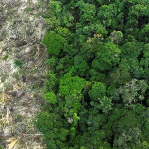 Desmatamento Amazônia 40 anos
