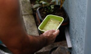 Chikungunya vacina suspensa EUA