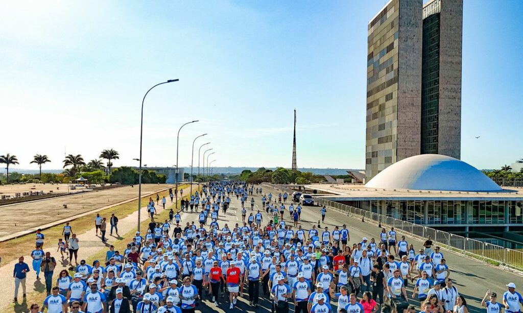 MEC 95 anos educação