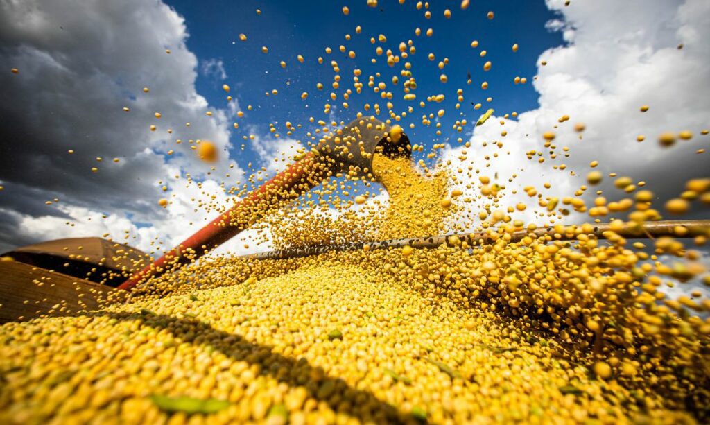 Valor produção agrícola Brasil 2024