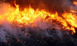 Incêndio Cavalcante Parque aberto