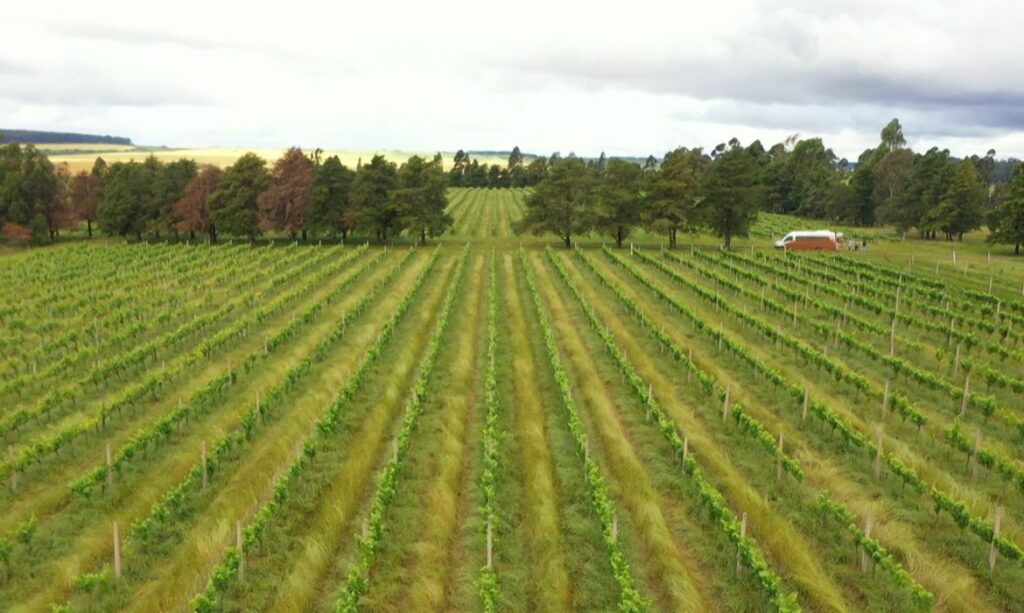 Crédito rural RS 12 bilhões