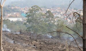 São Paulo estiagem incêndios