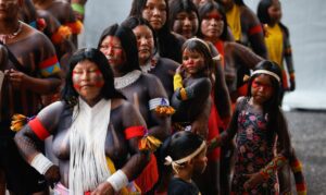 Fachin direitos indígenas ambientais