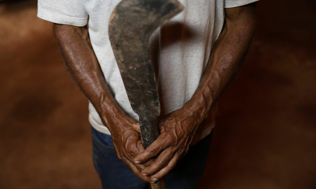 Maranhão grilagem agrotóxicos