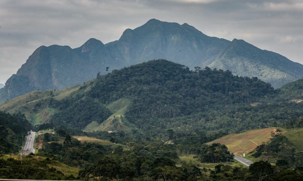 Aliança pela Mata Atlântica